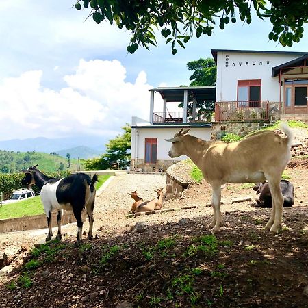 Amazi Land Home And Farm Stay Kibuye Εξωτερικό φωτογραφία